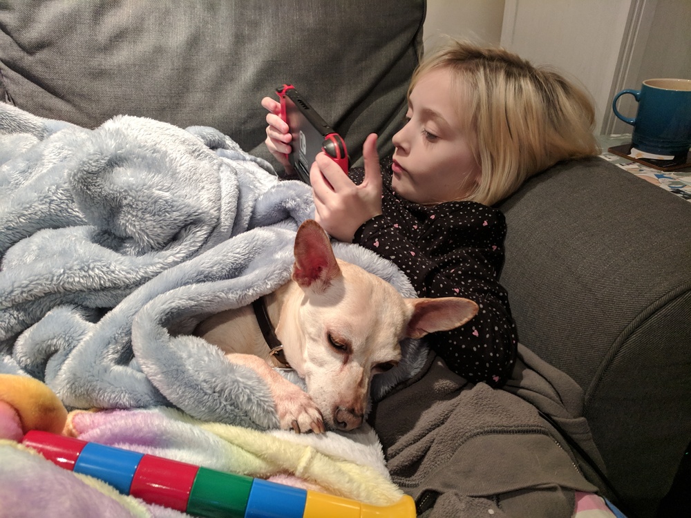 Pictures from Christmas this year